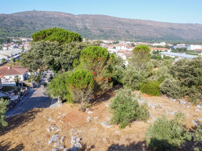Terreno para Venda em Minde Foto 4