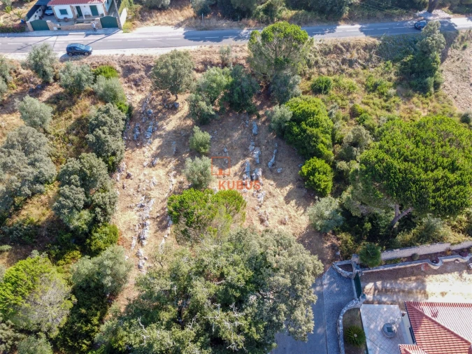 Terreno para Venda em Minde Foto 6