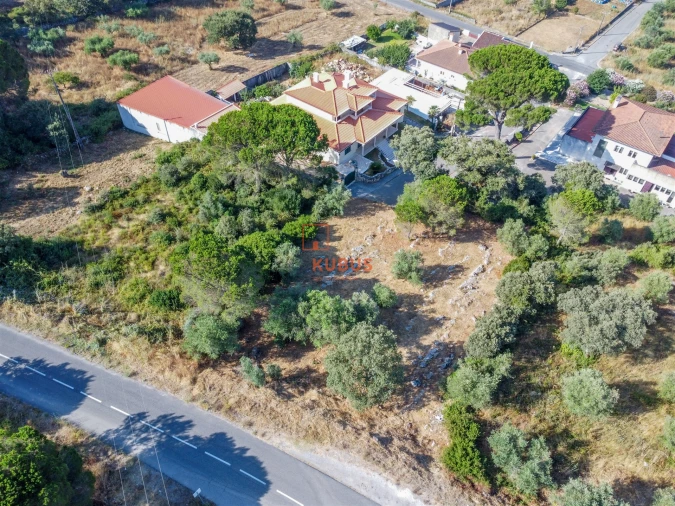 Terreno para Venda em Minde Foto 8