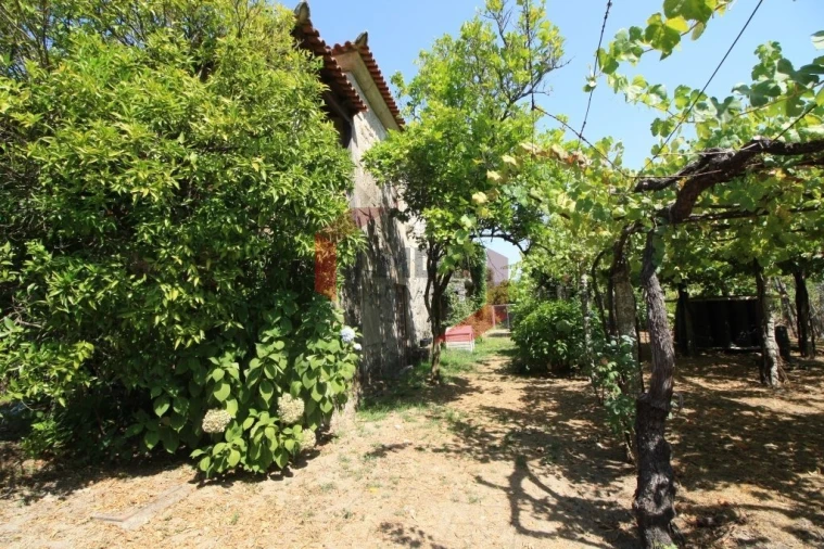 Quinta T6 para Venda em Couto Foto 15