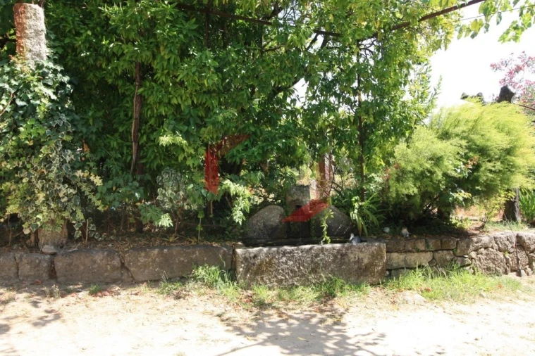 Quinta T6 para Venda em Couto Foto 9