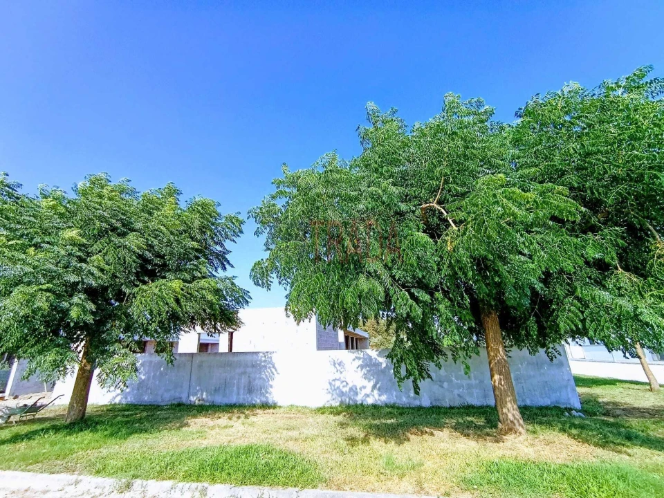 Moradia T3 para Venda em Ferreiros, Prozelo e Besteiros Foto 19