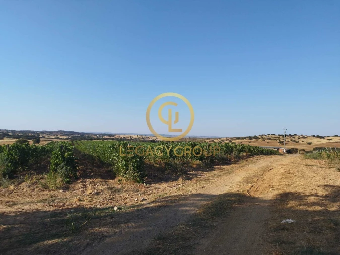 Quinta T0 para Venda em Santiago Maior Foto 5