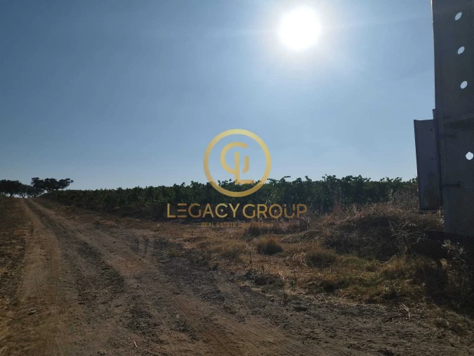 Quinta T0 para Venda em Santiago Maior Foto 9