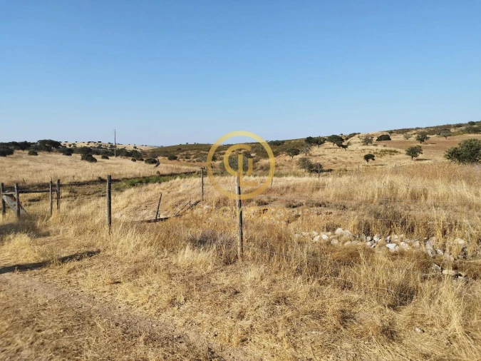 Quinta T0 para Venda em Santiago Maior Foto 20