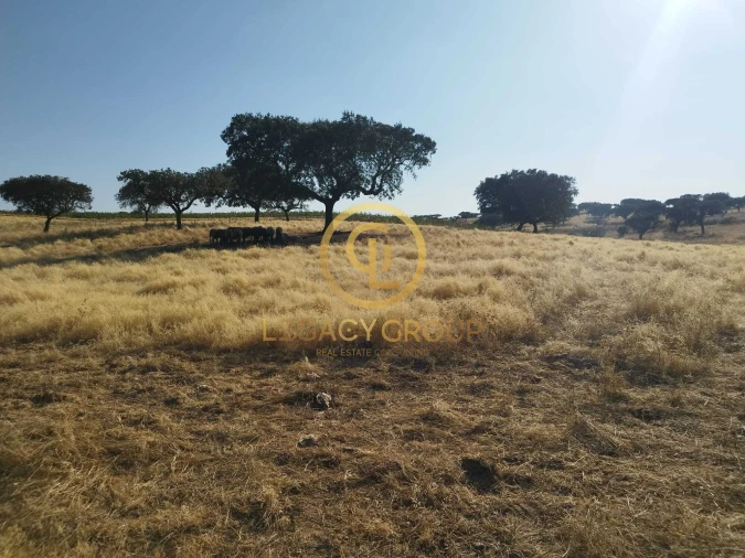 Quinta T0 para Venda em Santiago Maior Foto 7