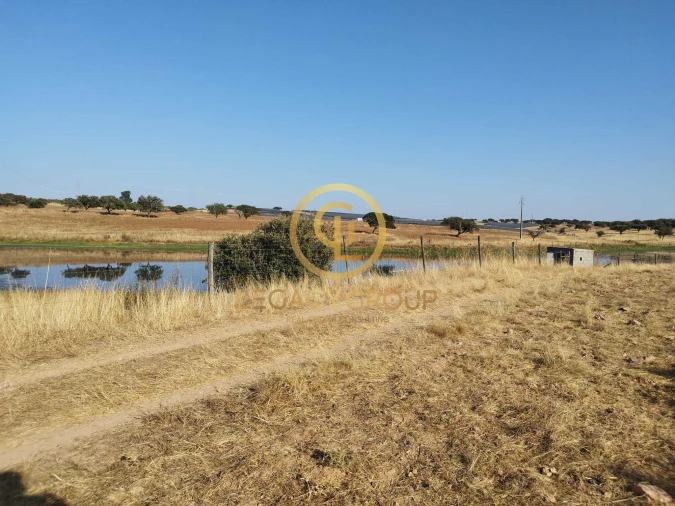 Quinta T0 para Venda em Santiago Maior Foto 2