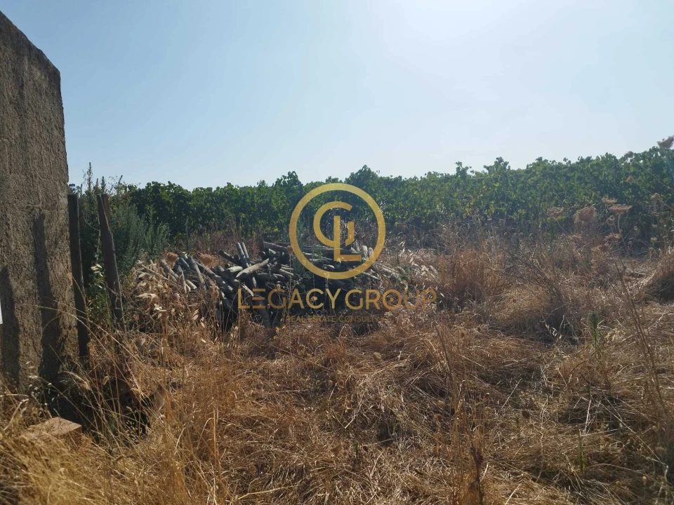 Quinta T0 para Venda em Santiago Maior Foto 11