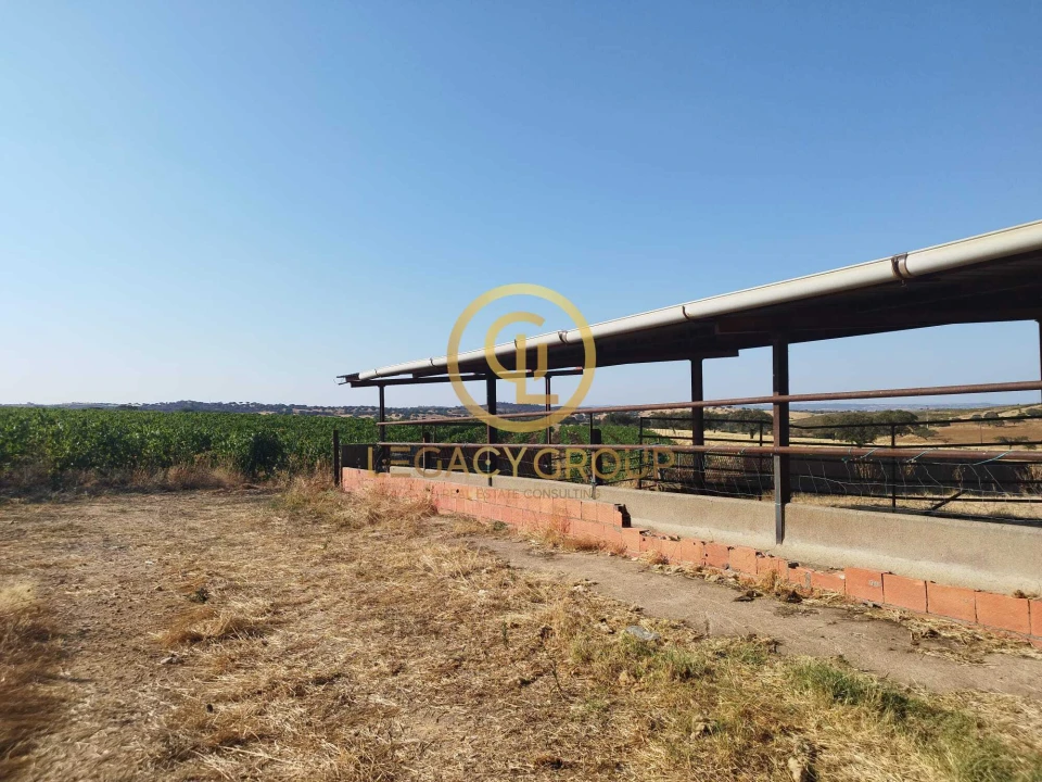 Quinta T0 para Venda em Santiago Maior Foto 10