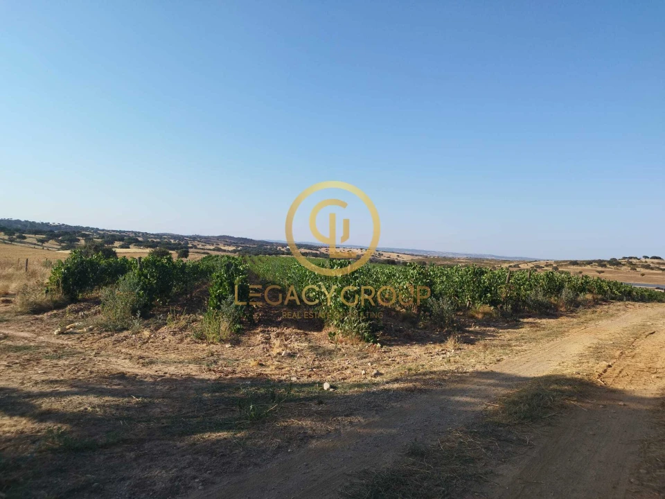 Quinta T0 para Venda em Santiago Maior Foto 8