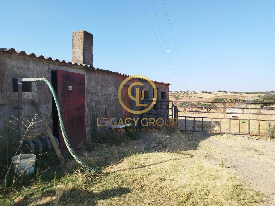 Quinta T0 para Venda em Santiago Maior Foto 15