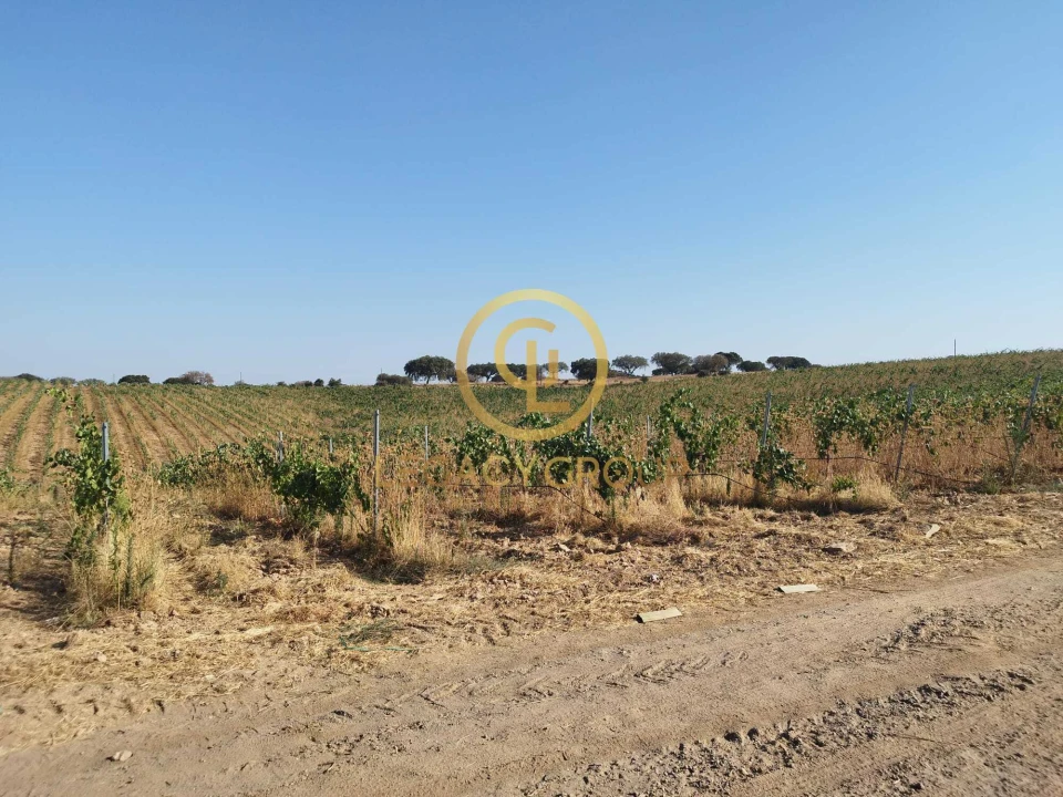 Quinta T0 para Venda em Santiago Maior Foto 14