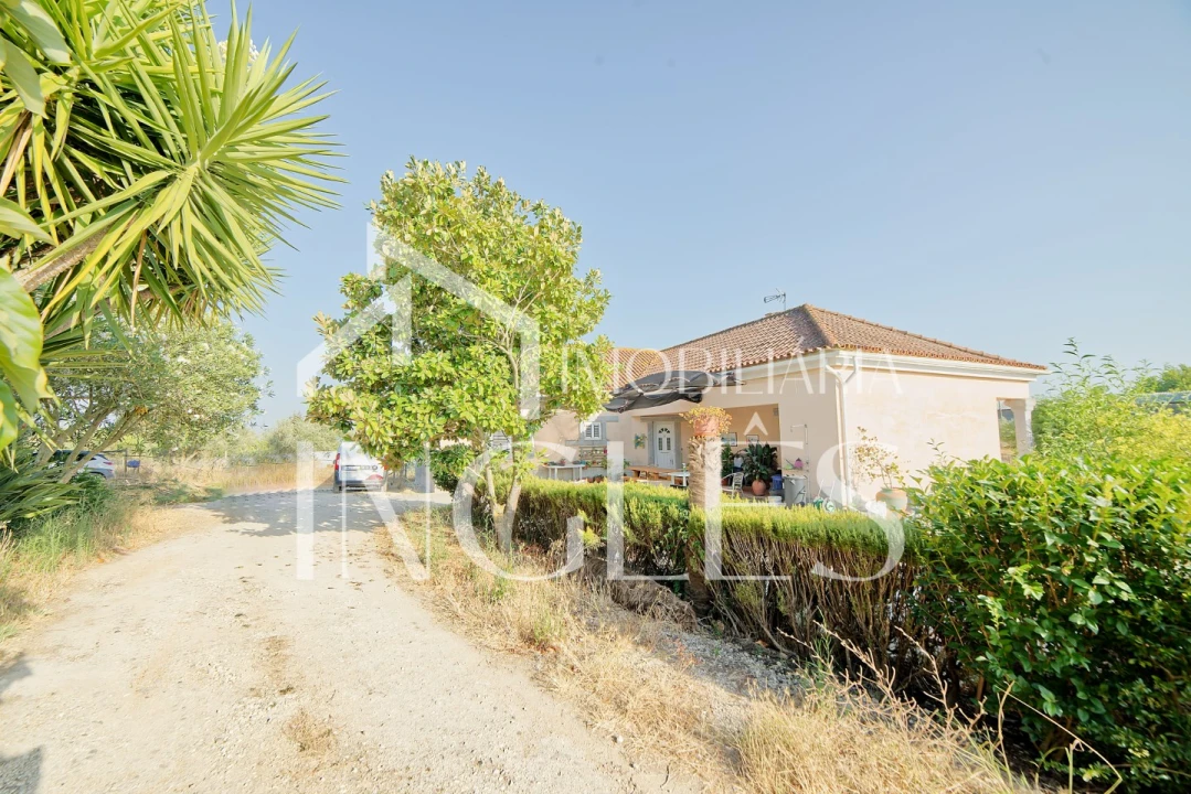 Moradia T5 para Venda em Cartaxo e Vale da Pinta Foto 50