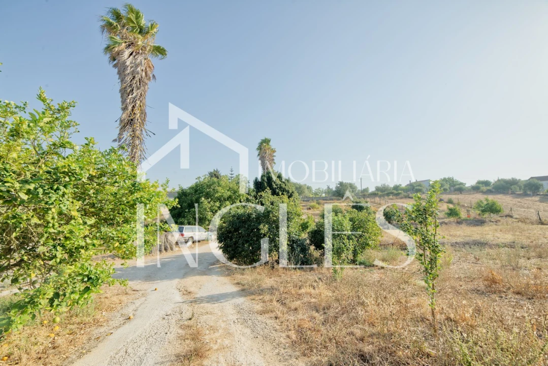 Moradia T5 para Venda em Cartaxo e Vale da Pinta Foto 52