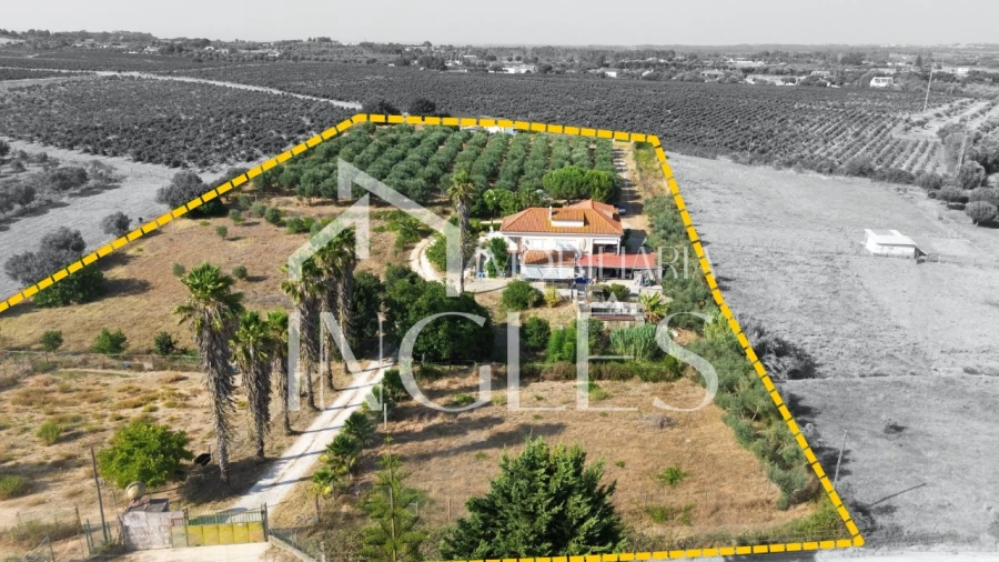 Moradia T5 para Venda em Cartaxo e Vale da Pinta Foto 2