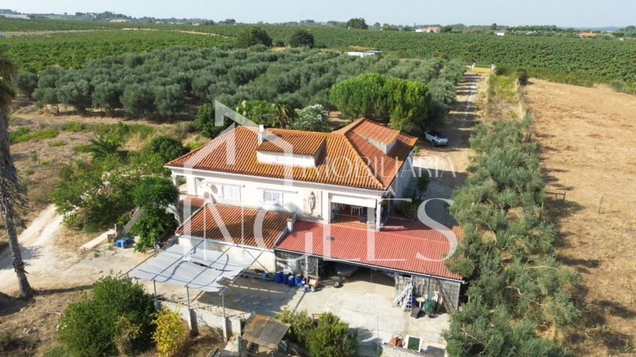 Moradia T5 para Venda em Cartaxo e Vale da Pinta Foto 1