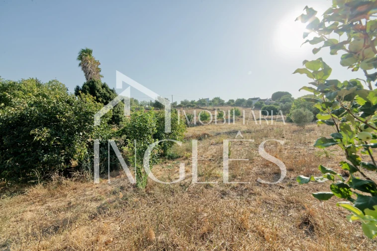 Moradia T5 para Venda em Cartaxo e Vale da Pinta Foto 53