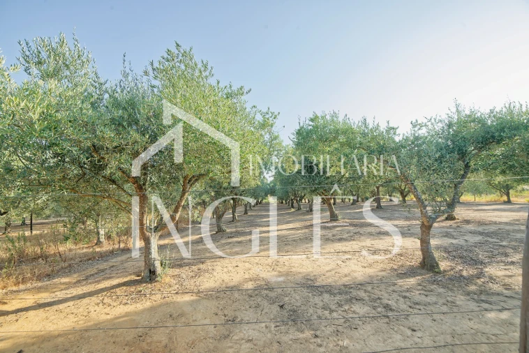 Moradia T5 para Venda em Cartaxo e Vale da Pinta Foto 58