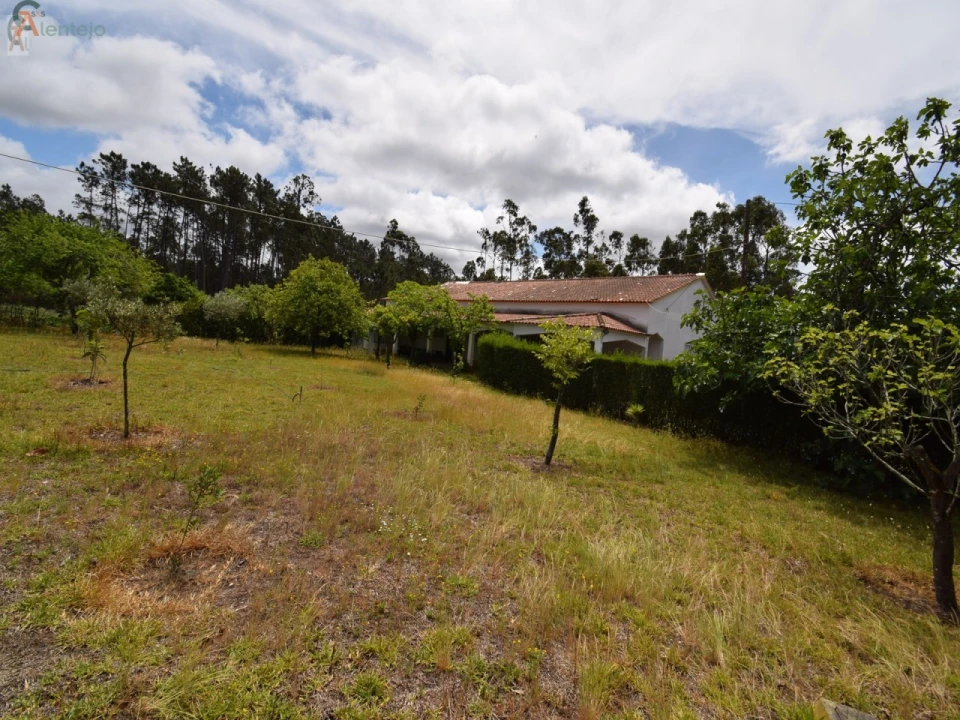 Negócio para Venda em Guia, Ilha e Mata Mourisca Foto 25