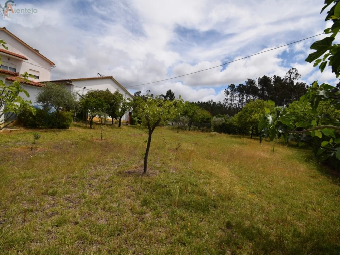 Negócio para Venda em Guia, Ilha e Mata Mourisca Foto 24