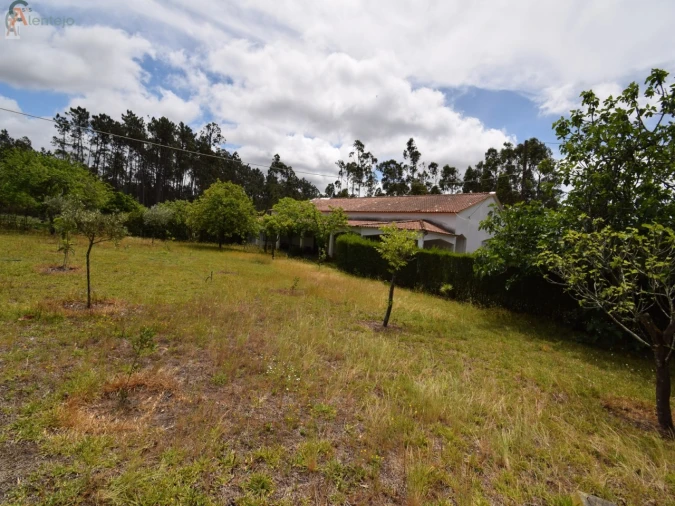 Negócio para Venda em Guia, Ilha e Mata Mourisca Foto 25