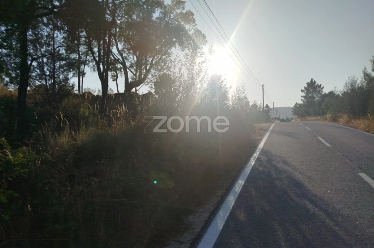 Terreno para Venda em Abrunhosa-A-Velha Foto 13