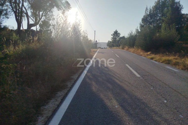 Terreno para Venda em Abrunhosa-A-Velha Foto 15