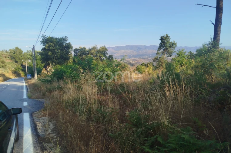 Terreno para Venda em Abrunhosa-A-Velha Foto 19