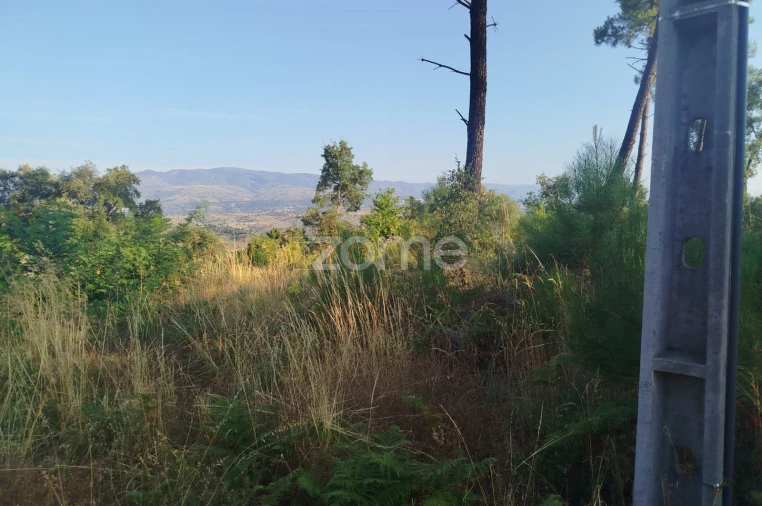 Terreno para Venda em Abrunhosa-A-Velha Foto 20