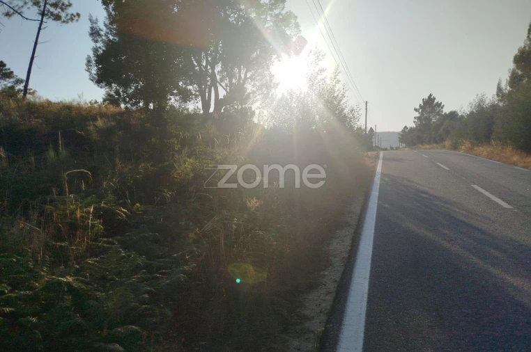Terreno para Venda em Abrunhosa-A-Velha Foto 25