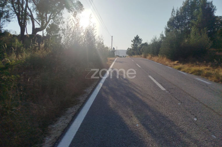 Terreno para Venda em Abrunhosa-A-Velha Foto 24