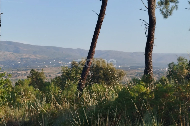 Terreno para Venda em Abrunhosa-A-Velha Foto 3