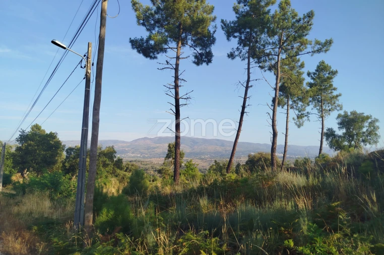 Terreno para Venda em Abrunhosa-A-Velha