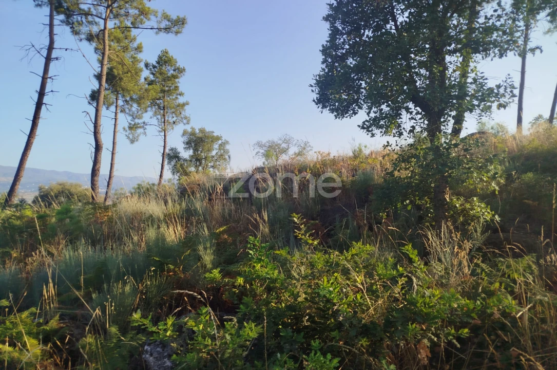 Terreno para Venda em Abrunhosa-A-Velha Foto 10