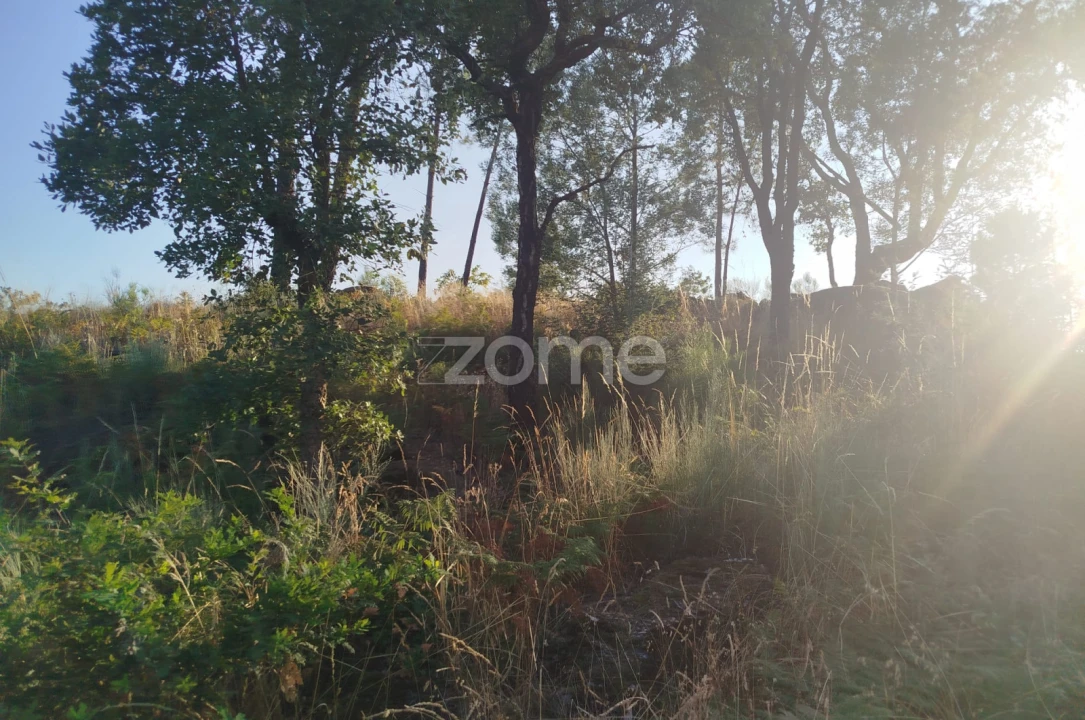 Terreno para Venda em Abrunhosa-A-Velha Foto 12