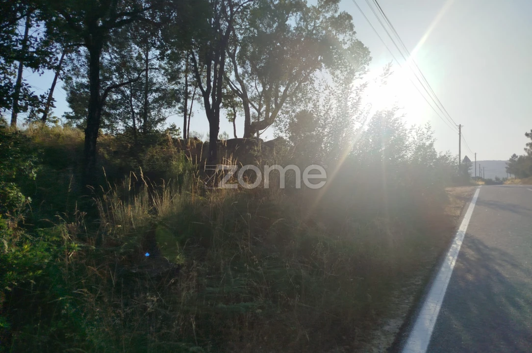 Terreno para Venda em Abrunhosa-A-Velha Foto 1