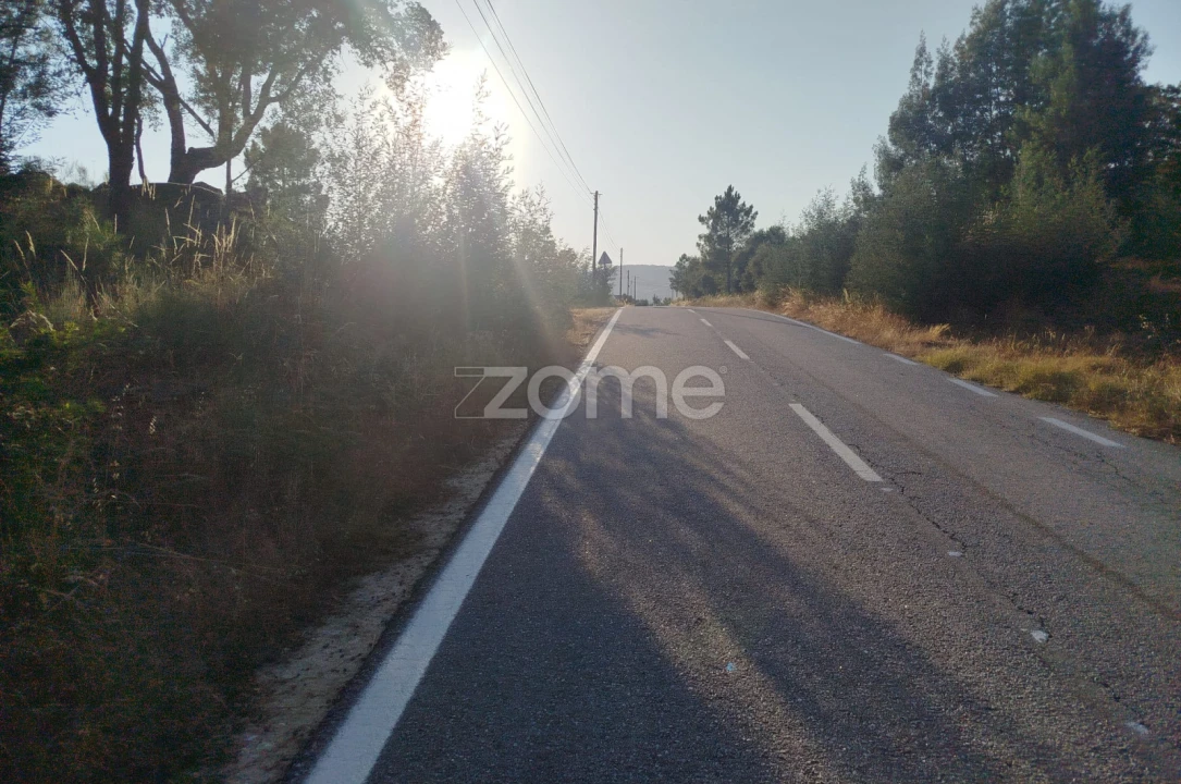 Terreno para Venda em Abrunhosa-A-Velha Foto 15