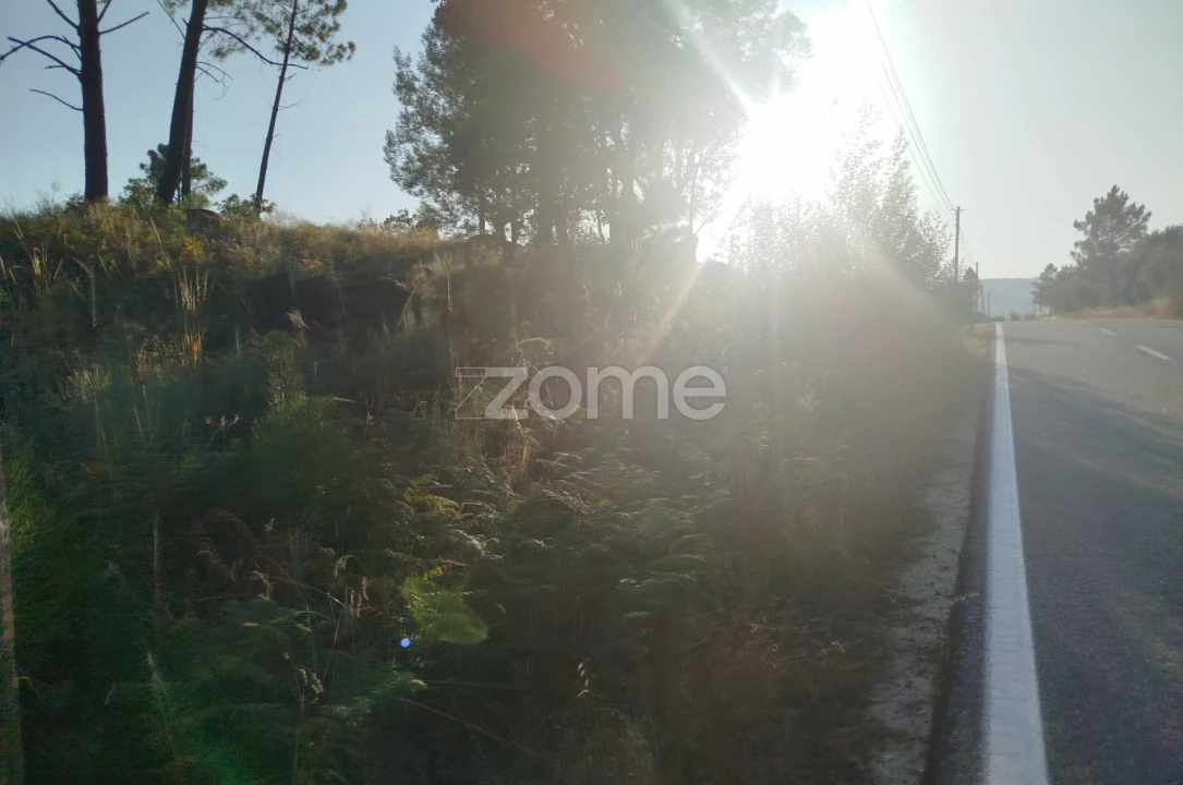 Terreno para Venda em Abrunhosa-A-Velha Foto 14