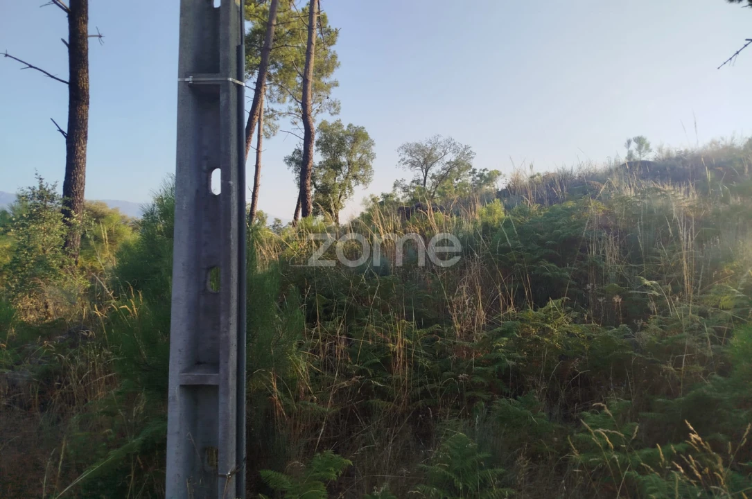 Terreno para Venda em Abrunhosa-A-Velha Foto 18