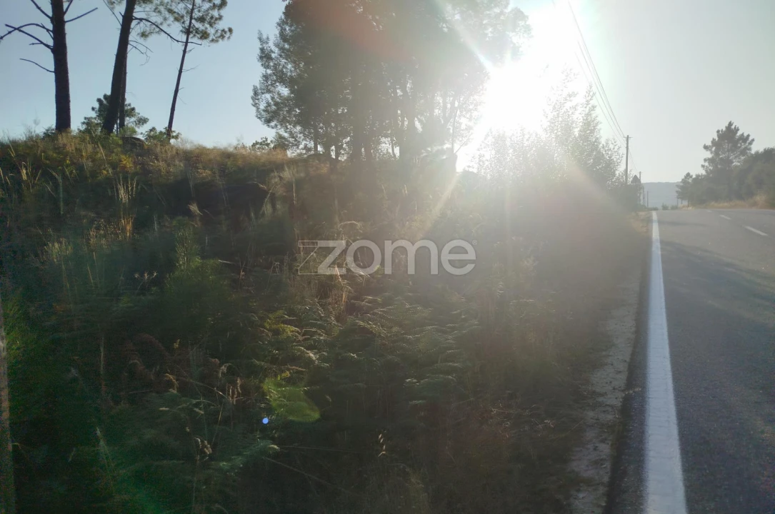 Terreno para Venda em Abrunhosa-A-Velha Foto 22