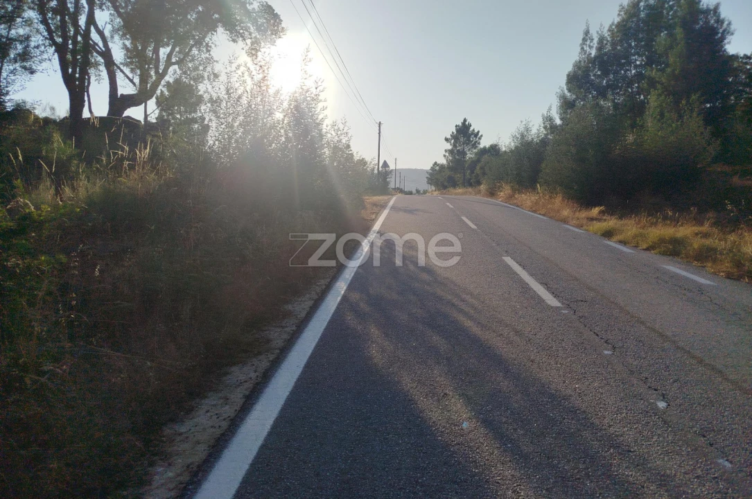 Terreno para Venda em Abrunhosa-A-Velha Foto 24