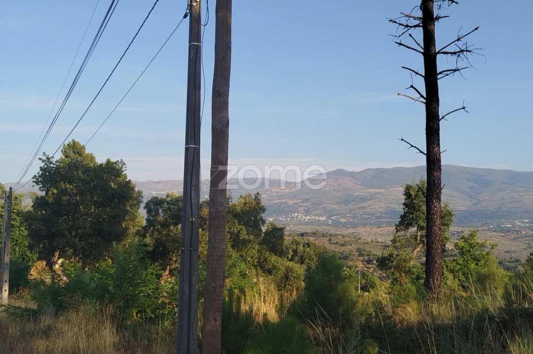 Terreno para Venda em Abrunhosa-A-Velha Foto 4