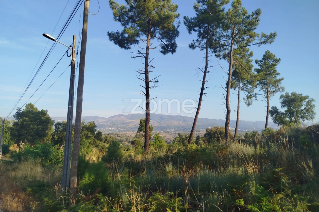 Terreno para Venda em Abrunhosa-A-Velha Foto 6
