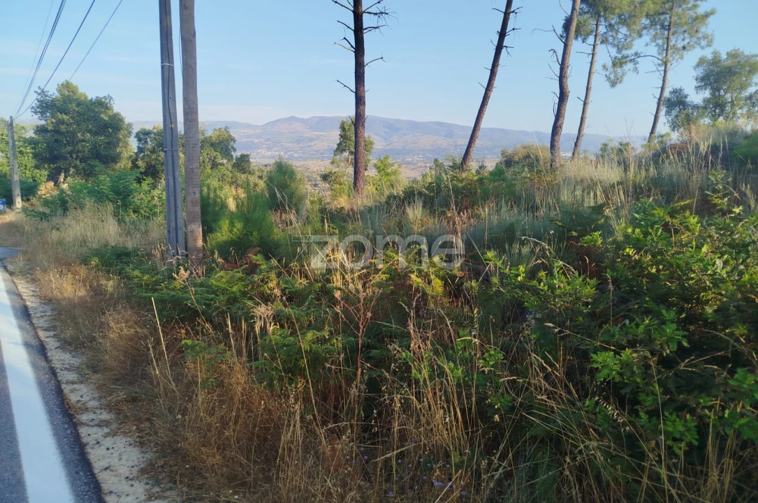 Terreno para Venda em Abrunhosa-A-Velha Foto 8