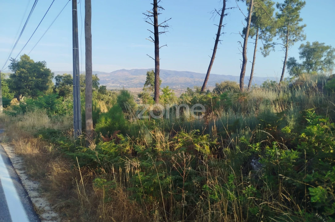 Terreno para Venda em Abrunhosa-A-Velha Foto 9