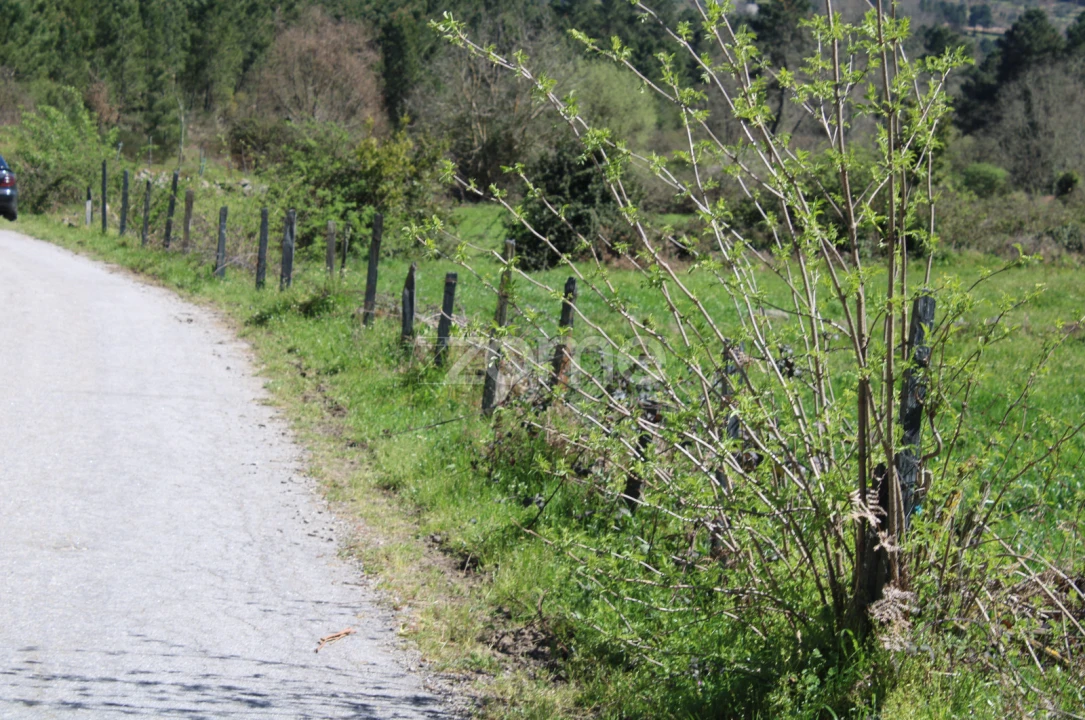 Terreno para Venda em Mangualde, Mesquitela e Cunha Alta Foto 11