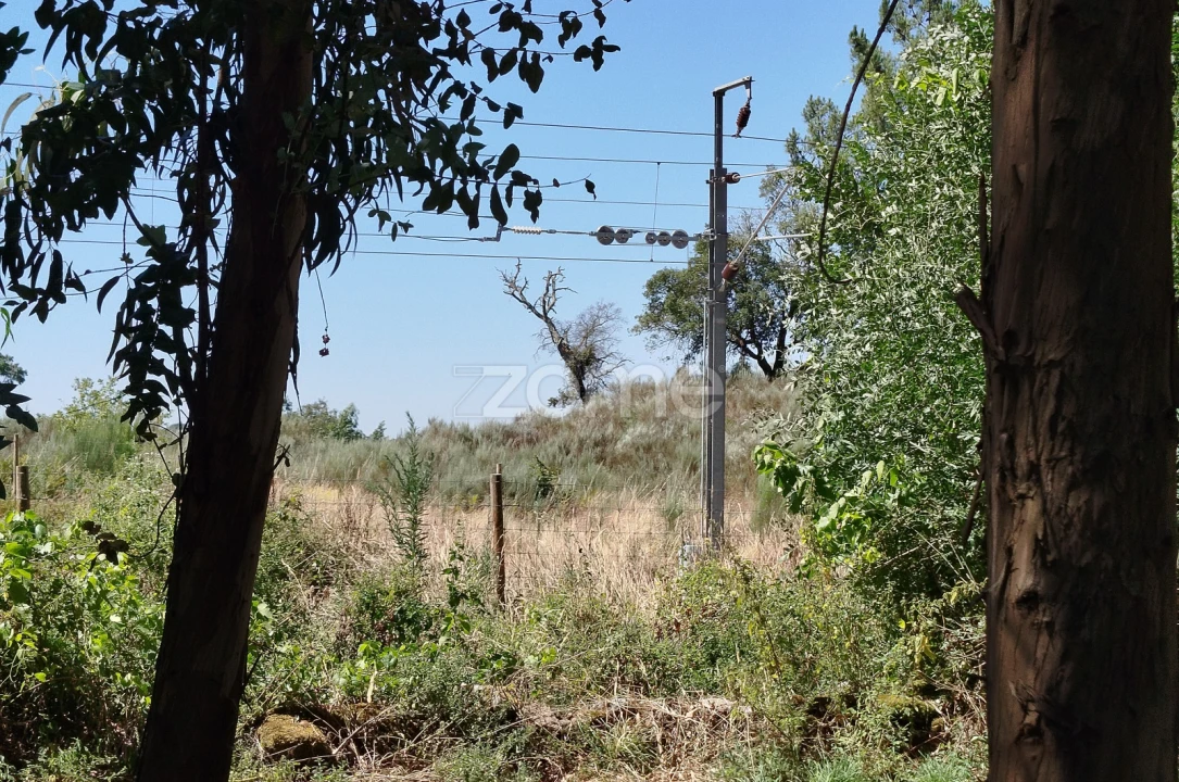 Terreno para Venda em Abrunhosa-A-Velha Foto 12