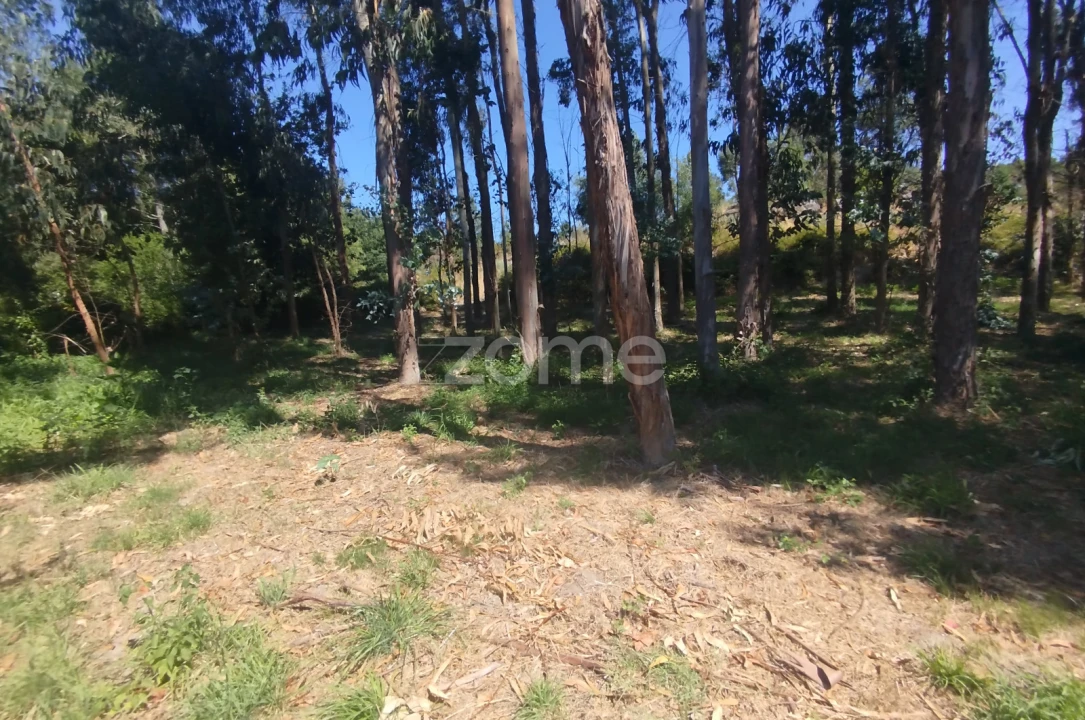 Terreno para Venda em Abrunhosa-A-Velha Foto 23