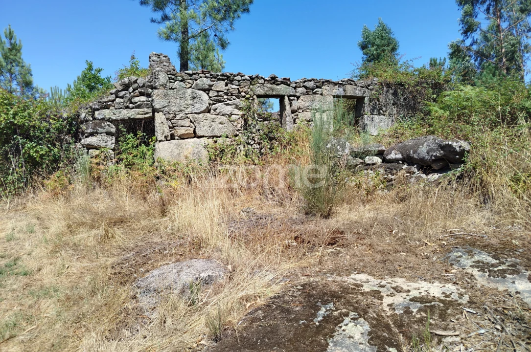 Terreno para Venda em Abrunhosa-A-Velha Foto 26
