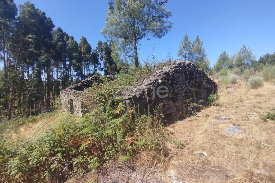 Terreno para Venda em Abrunhosa-A-Velha Foto 29